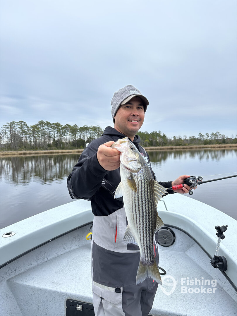 Oriental Report Photo 0