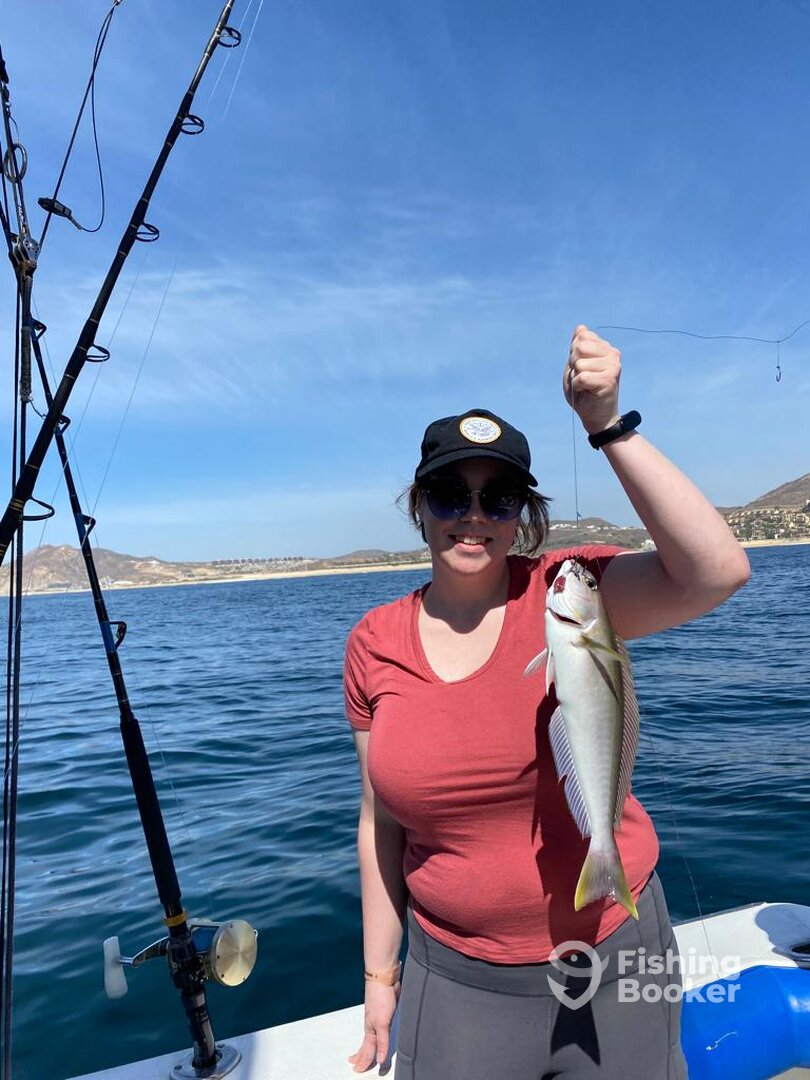 Cabo San Lucas Report Photo 0