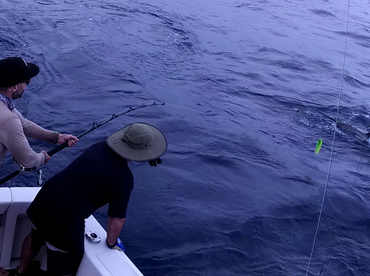 Sydney Report Photo 1