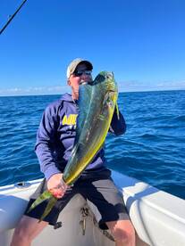 Mahi mahi for action