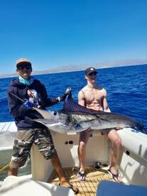 Cabo San Lucas Report Photo 2