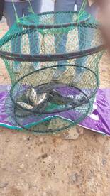 Great barbecue in Cape Town while fishin