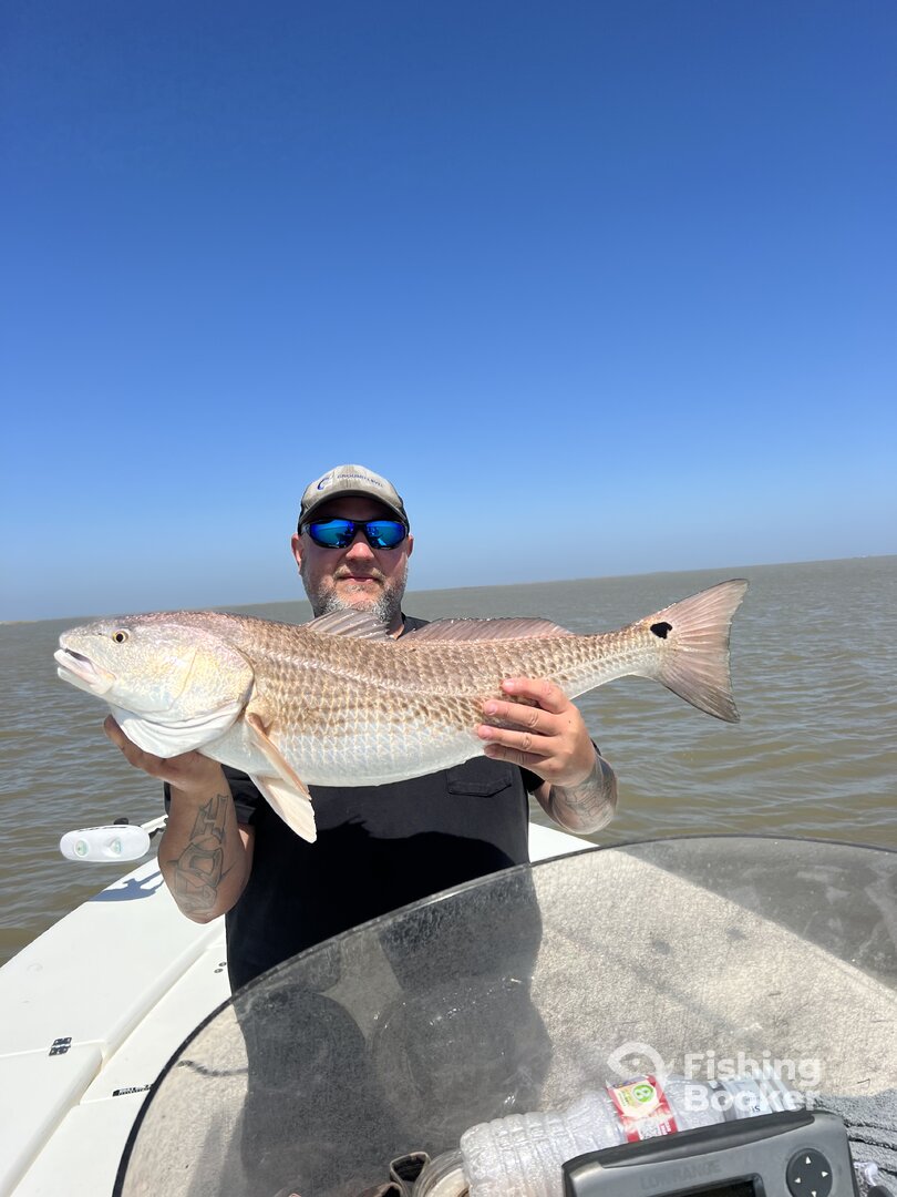 Venice Report Photo 0