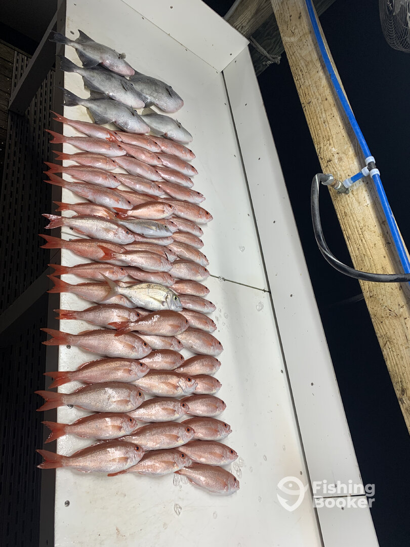 Orange Beach Report Photo 0