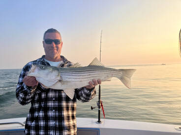 Chatham Report Photo 1