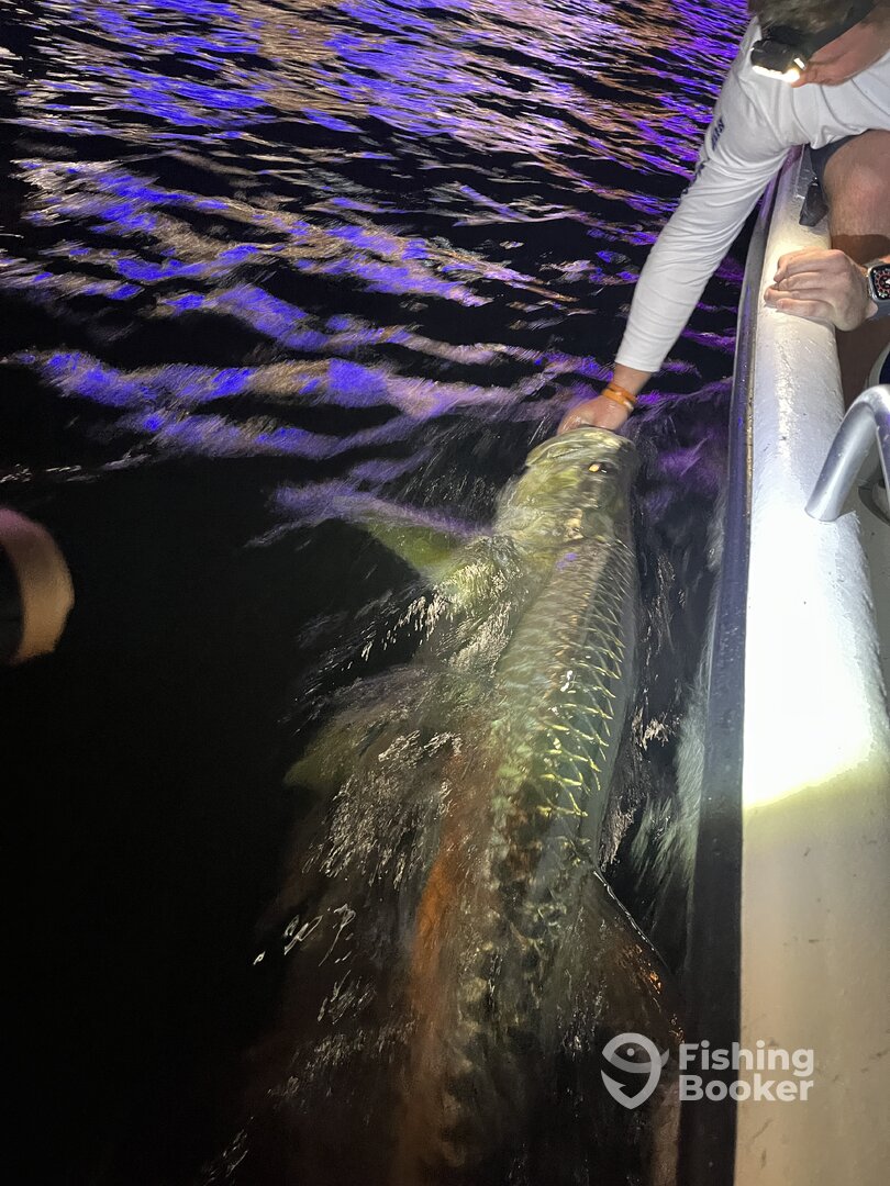 Fort Lauderdale Report Photo 0