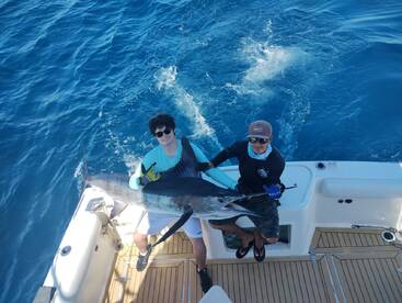 Cabo San Lucas Report Photo 2