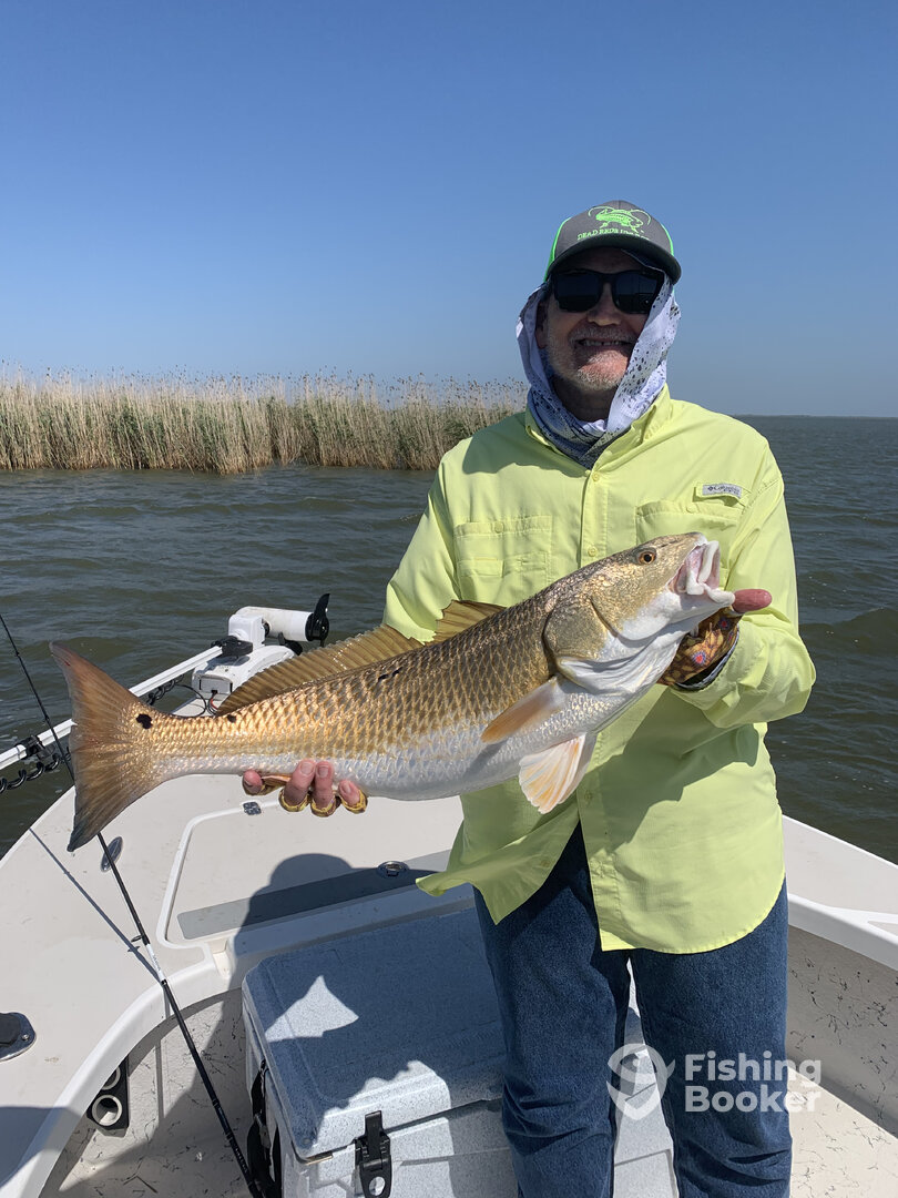 Port Sulphur Report Photo 0