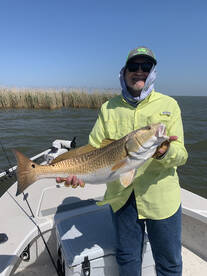 More Line Screaming Action! 