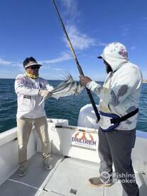 San Jose del Cabo Report Photo 2