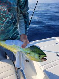 Yankeetown Report Photo 2