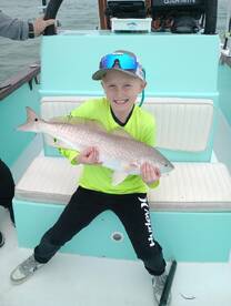 Spanish and Red fish