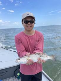 Homestead Report Photo 1