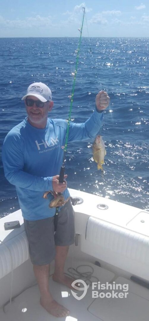 Puerto Aventuras Report Photo 0