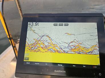 Pottsboro Report Photo 1