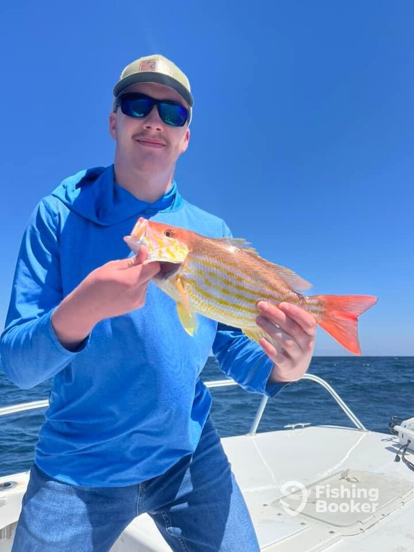 Pensacola Report Photo 0