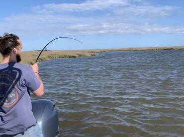 Mandeville Report Photo 2