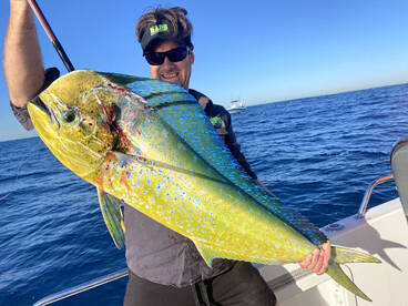 Sydney Report Photo 1