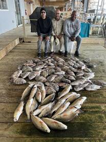 Venice Report Photo 1