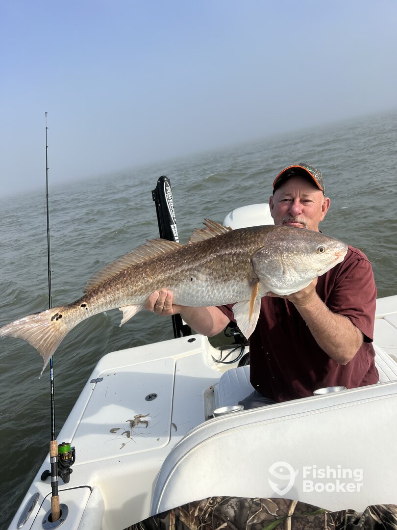 Venice Report Photo 0