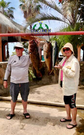 bottom fishing Daliken Sportfishing!