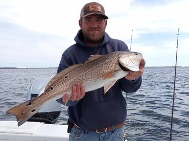 Red drum