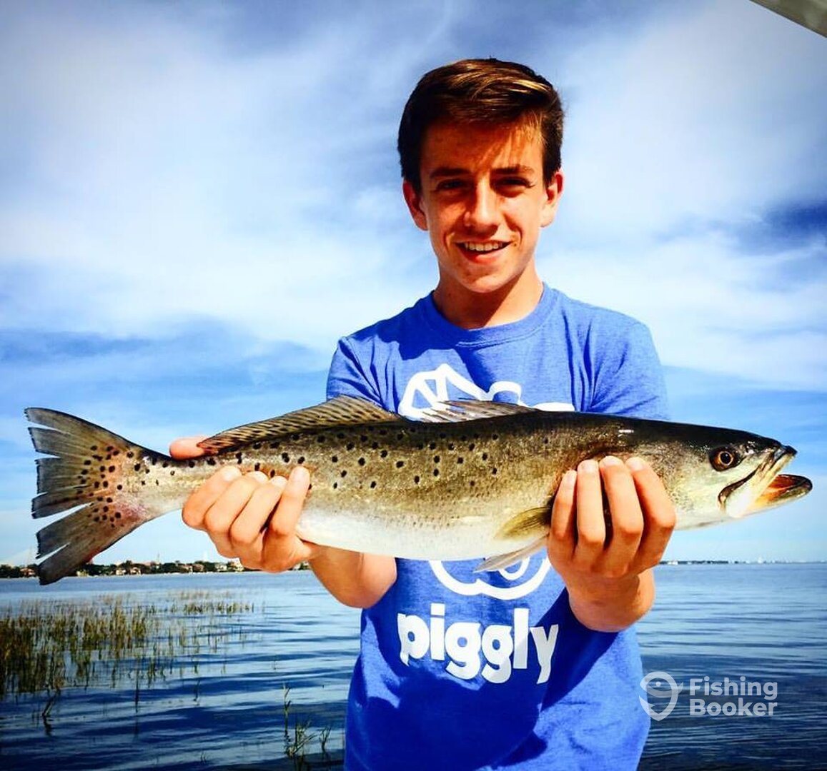 Charleston Report Photo 0