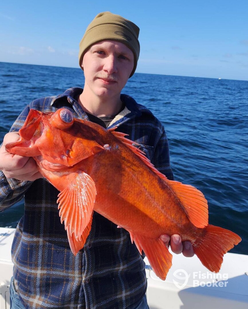 San Diego Report Photo 0