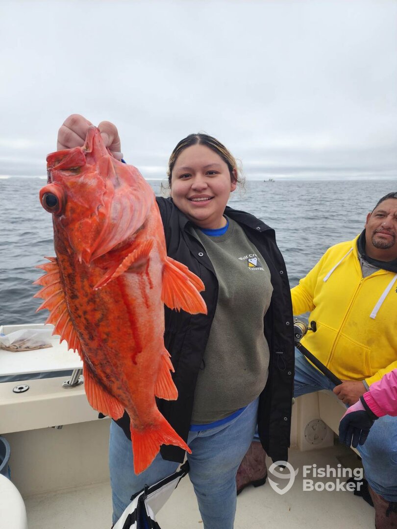 San Diego Report Photo 0