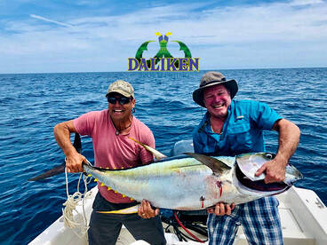 Tuna!!! Book now Daliken Sportfishing!