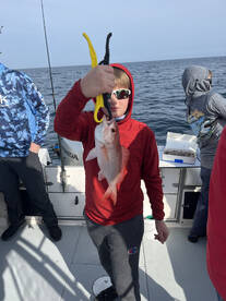 Port Orange Report Photo 1