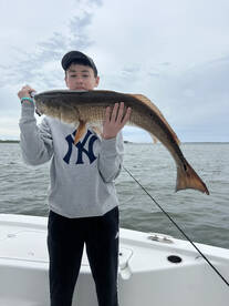 Mount Pleasant Report Photo 2