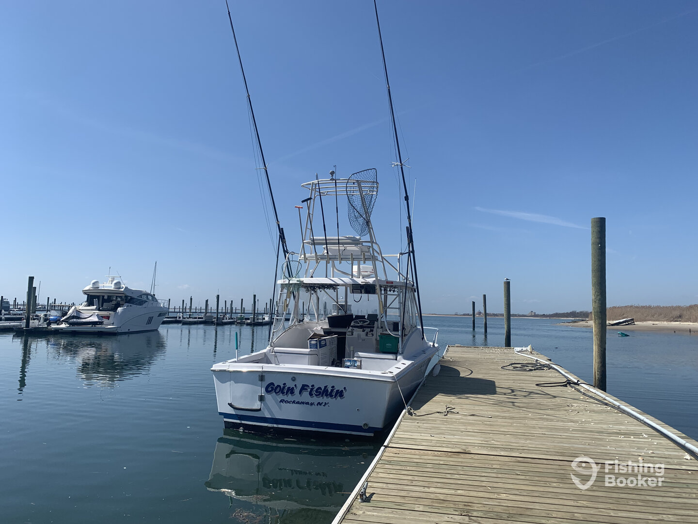 New York City Report Photo 0