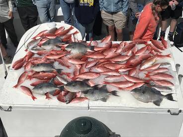 Orange Beach Report Photo 1