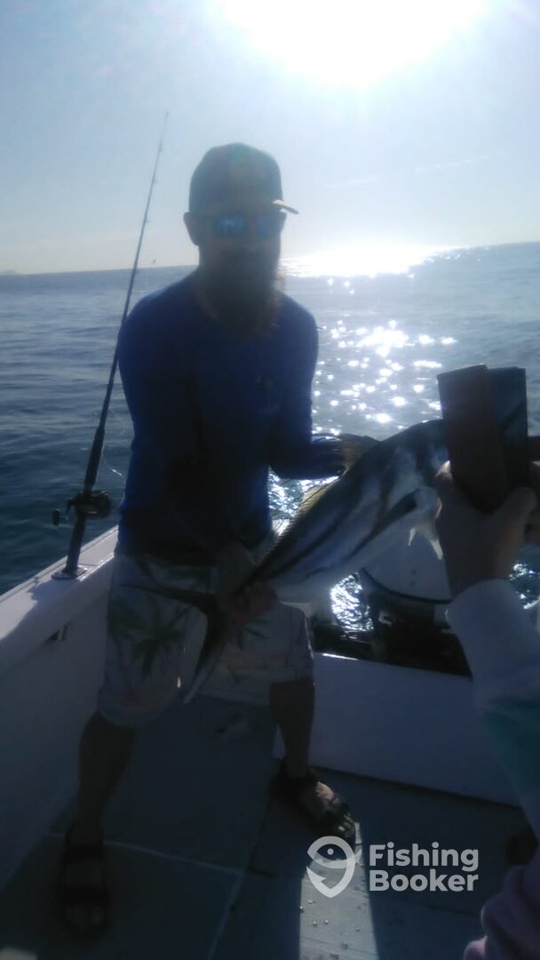 San Jose del Cabo Report Photo 0