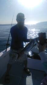 Roostherfihs! 7 released Daliken Sportfi