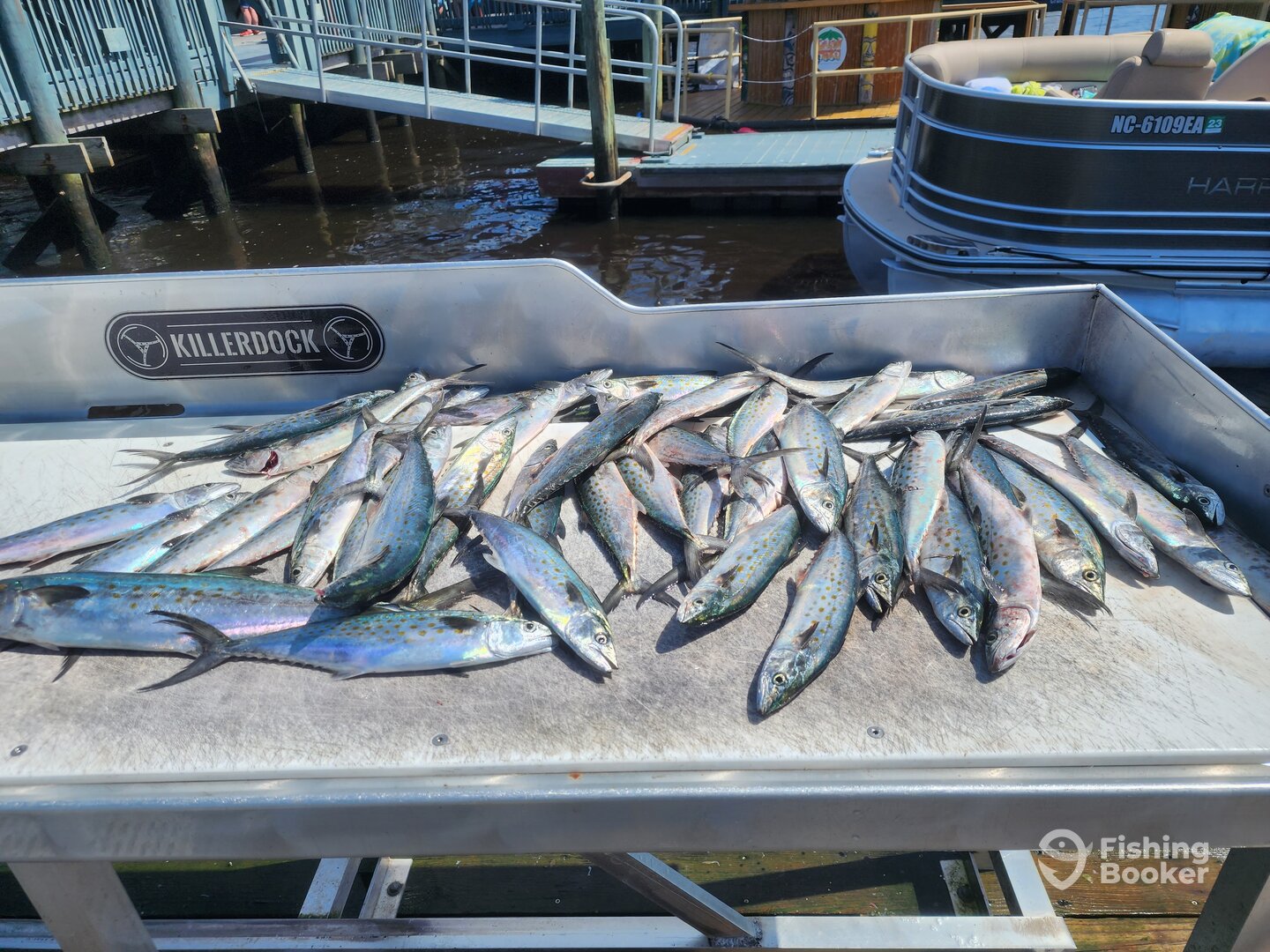 Little River Report Photo 0