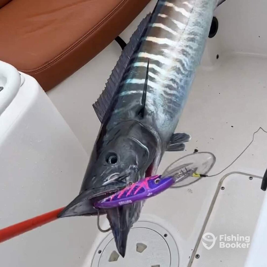 Cartagena de Indias Report Photo 0