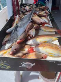 Cartagena de Indias Report Photo 2