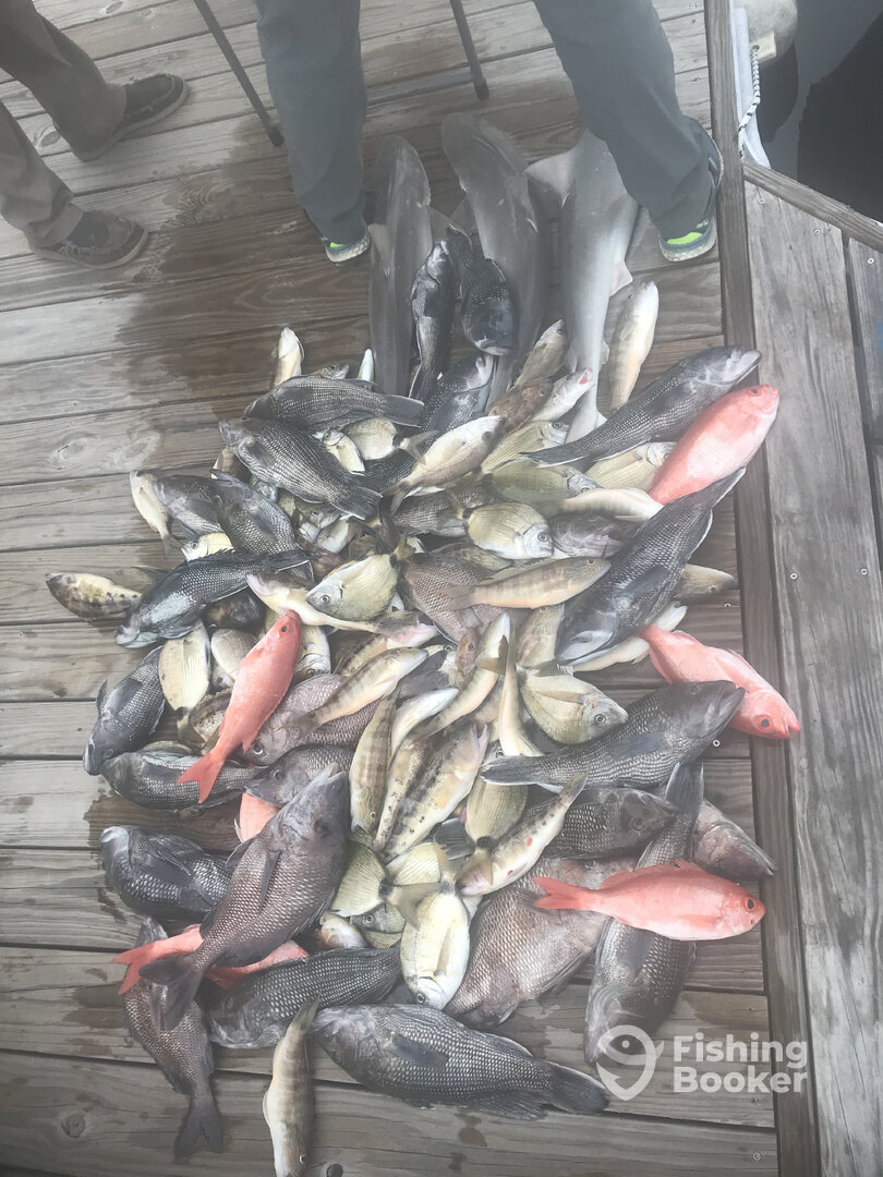 North Myrtle Beach Report Photo 0