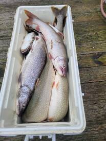 Lake Michigan  big lake season has arriv