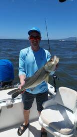 Latest catch this week.