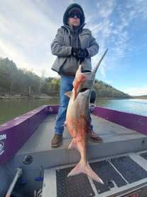 Branson Report Photo 2