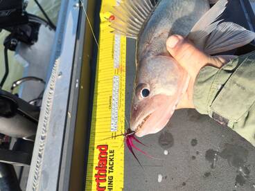 Lakeside Marblehead Report Photo 1