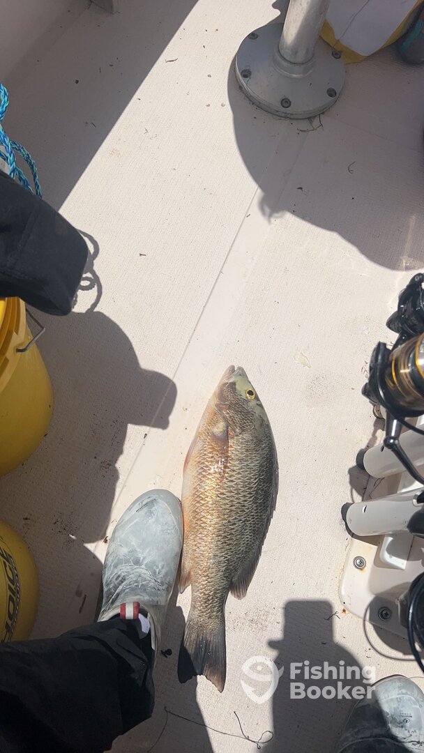 Islamorada Report Photo 0