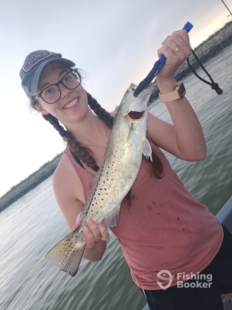 Galveston Report Photo 0