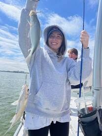 Grapevine Report Photo 1