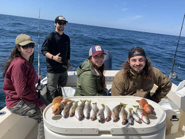 San Diego Report Photo 1