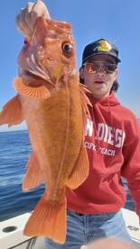 San Diego Report Photo 1