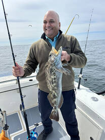 San Diego Report Photo 2